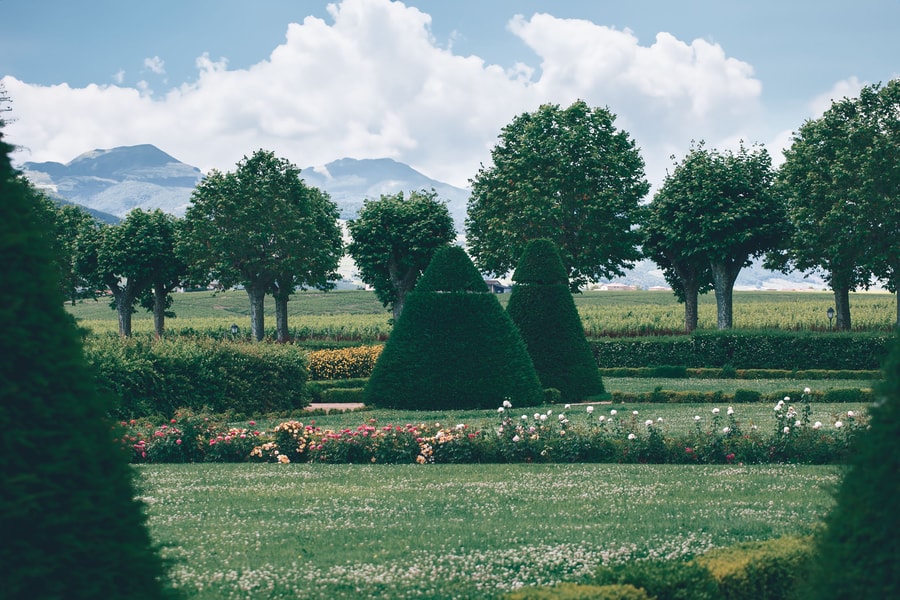 Image d'illustration 2